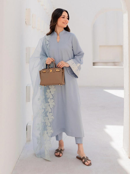 Chanderi Silk Kurta Set With Embroidered Organza Dupatta