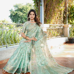 Woven Design Zari Organza Patola Saree With Blouse Piece