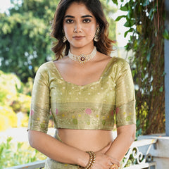 Woven Design Zari Organza Patola Saree With Blouse Piece