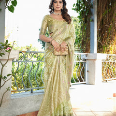 Woven Design Zari Organza Patola Saree With Blouse Piece