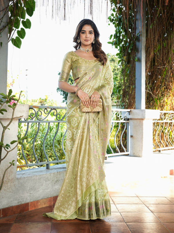 Woven Design Zari Organza Patola Saree With Blouse Piece