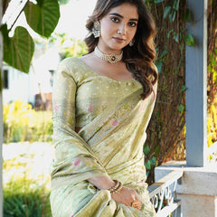 Woven Design Zari Organza Patola Saree With Blouse Piece
