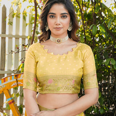 Woven Design Zari Organza Patola Saree With Blouse Piece