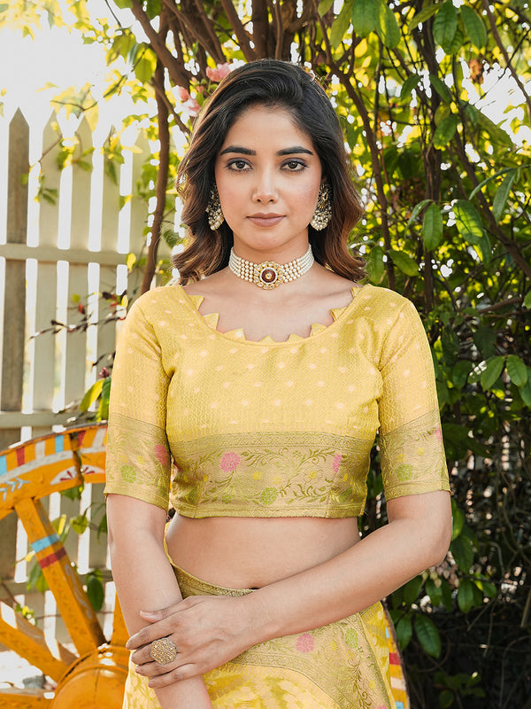 Woven Design Zari Organza Patola Saree With Blouse Piece
