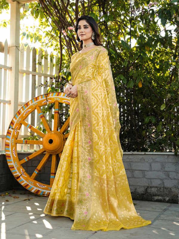 Woven Design Zari Organza Patola Saree With Blouse Piece