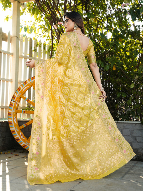 Woven Design Zari Organza Patola Saree With Blouse Piece