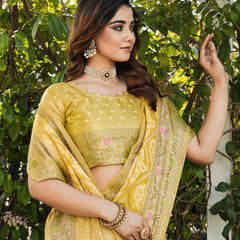 Woven Design Zari Organza Patola Saree With Blouse Piece
