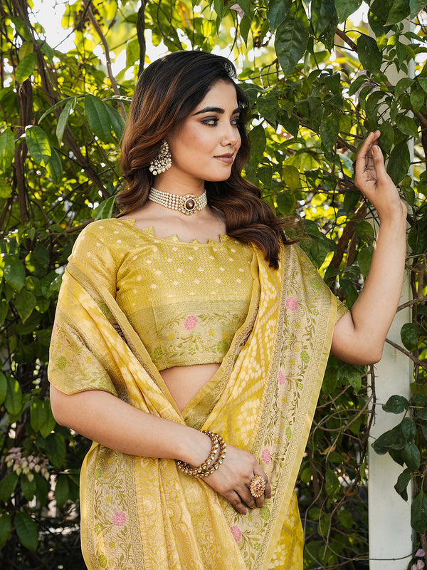 Woven Design Zari Organza Patola Saree With Blouse Piece