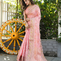 Woven Design Zari Organza Patola Saree With Blouse Piece