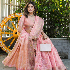 Woven Design Zari Organza Patola Saree With Blouse Piece