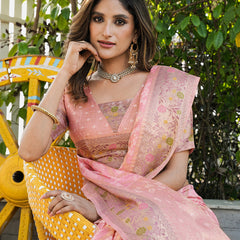 Woven Design Zari Organza Patola Saree With Blouse Piece