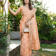 Woven Design Zari Organza Patola Saree With Blouse Piece