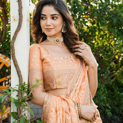Woven Design Zari Organza Patola Saree With Blouse Piece