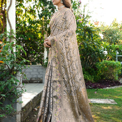 Woven Design Zari Organza Patola Saree With Blouse Piece