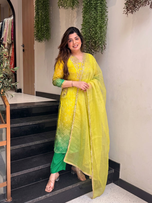 Women's Embroidered & Printed Chinon Straight Kurta With Pant & Organza Dupatta Set