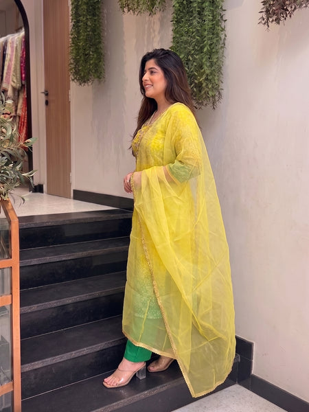 Women's Embroidered & Printed Chinon Straight Kurta With Pant & Organza Dupatta Set