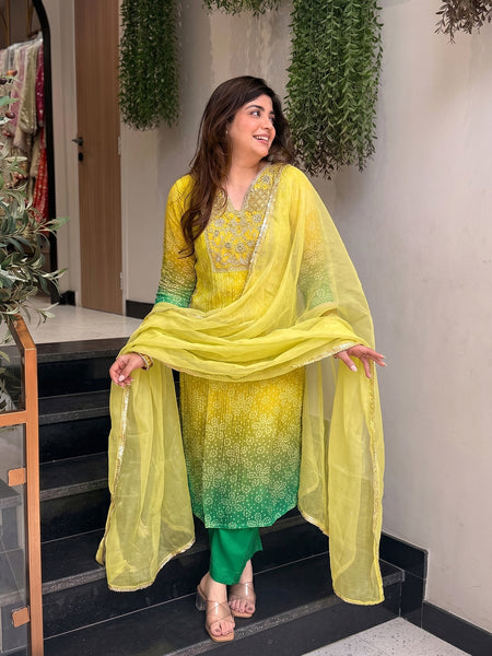 Women's Embroidered & Printed Chinon Straight Kurta With Pant & Organza Dupatta Set