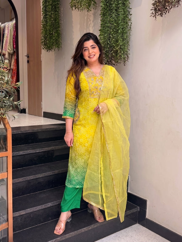 Women's Embroidered & Printed Chinon Straight Kurta With Pant & Organza Dupatta Set