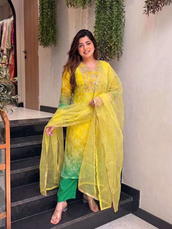 Women's Embroidered & Printed Chinon Straight Kurta With Pant & Organza Dupatta Set