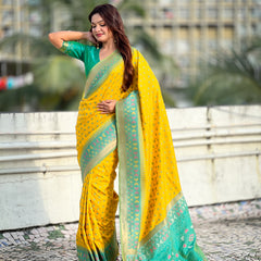 Premium Patola Silk Saree With Meenakari Ikkat Weaving & Brocade Blouse