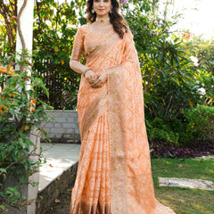 Woven Design Zari Organza Patola Saree With Blouse Piece
