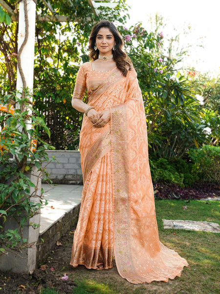 Woven Design Zari Organza Patola Saree With Blouse Piece