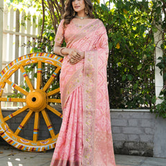 Woven Design Zari Organza Patola Saree With Blouse Piece