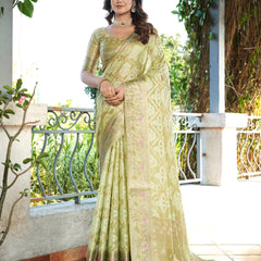 Woven Design Zari Organza Patola Saree With Blouse Piece