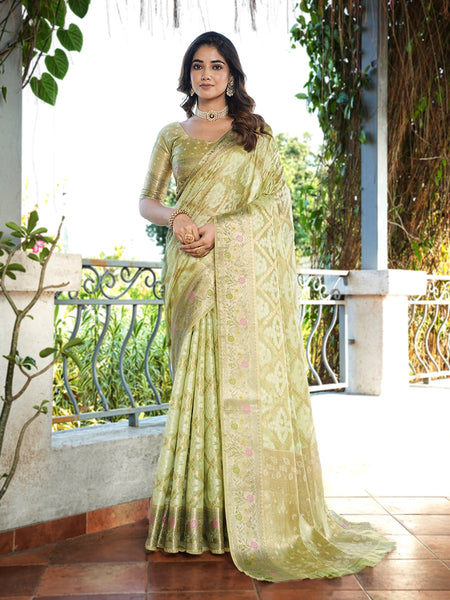 Woven Design Zari Organza Patola Saree With Blouse Piece