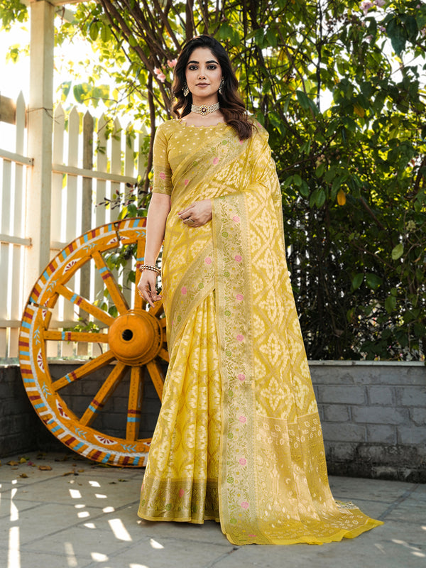 Woven Design Zari Organza Patola Saree With Blouse Piece
