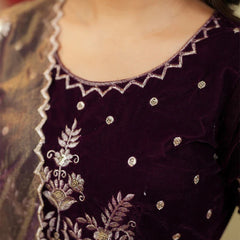 Women's Velvet & Soft Twill Net Embroidered Flared Gown with Dupatta