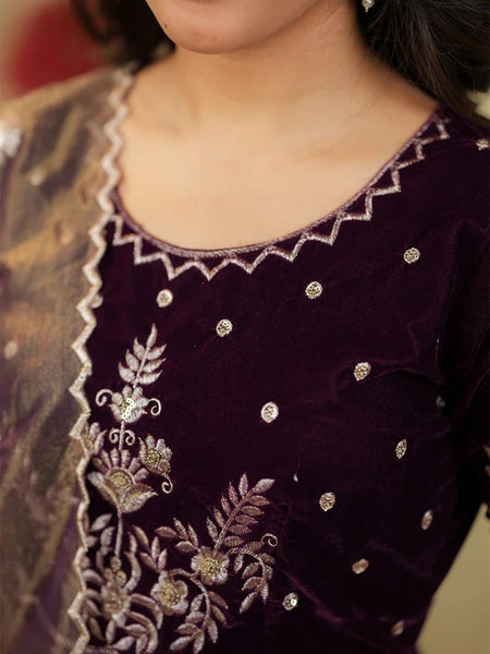 Women's Velvet & Soft Twill Net Embroidered Flared Gown with Dupatta