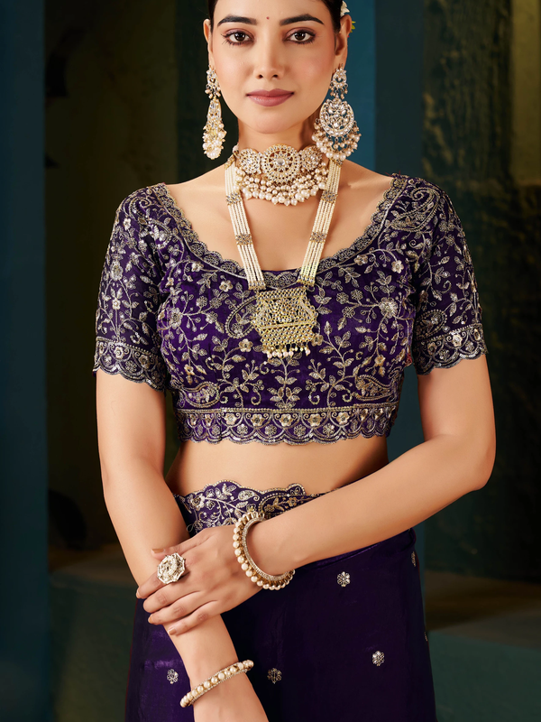 Women's Traditional Party Wear Silk Saree with Embroidered Blouse & Hand Work Lace Border